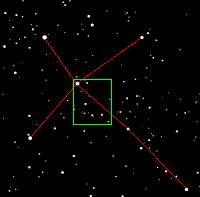 Cygnus Constellation