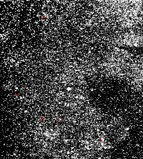 Stars near gamma Cygnus, 