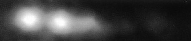 Movie of M87 jet